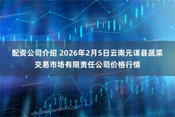 配资公司介绍 2026年2月5日云南元谋县蔬菜交易市场有限责任公司价格行情